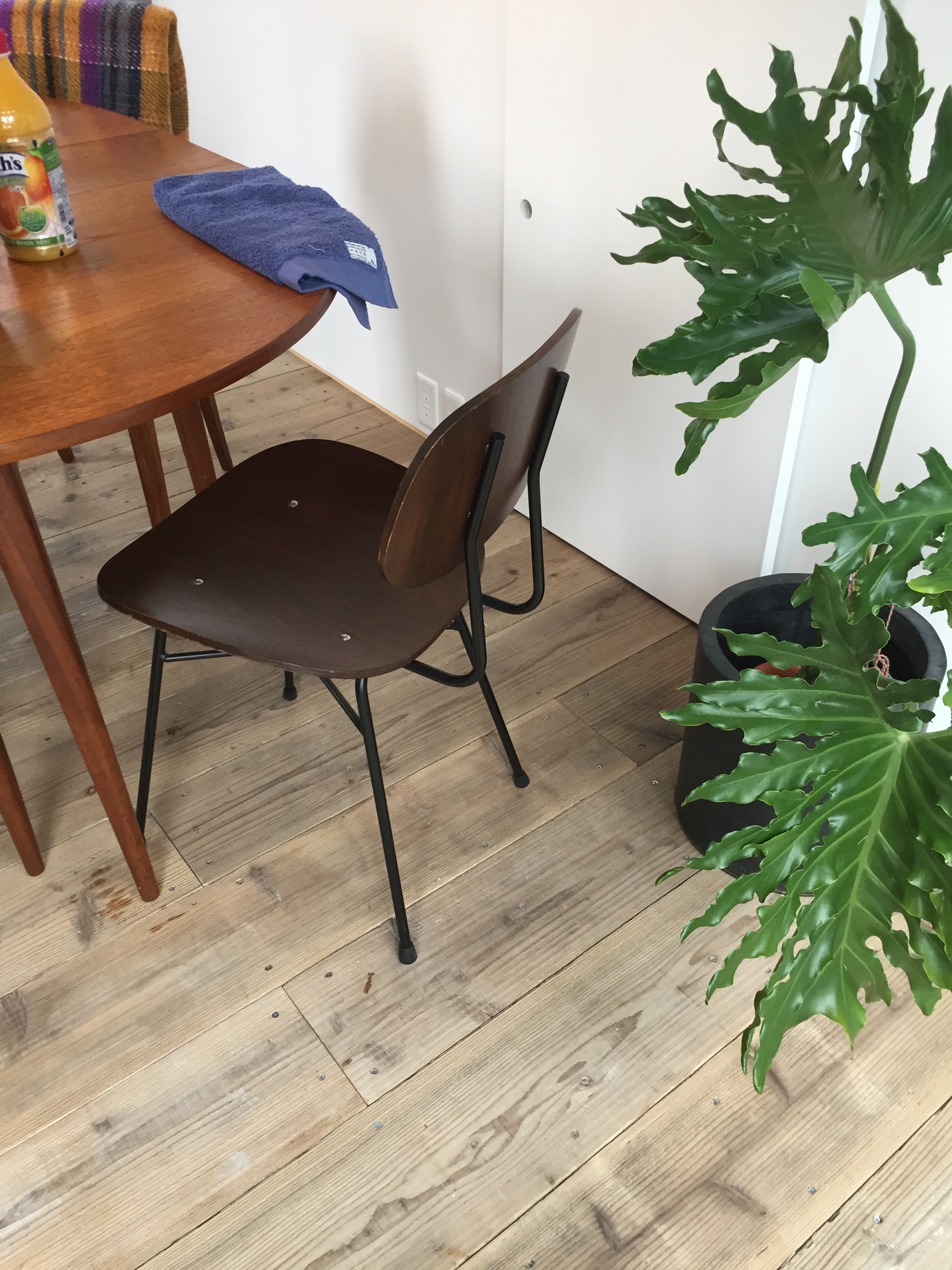 Dining Kitchen – オリジナル建物 by Design Source - デザインソース